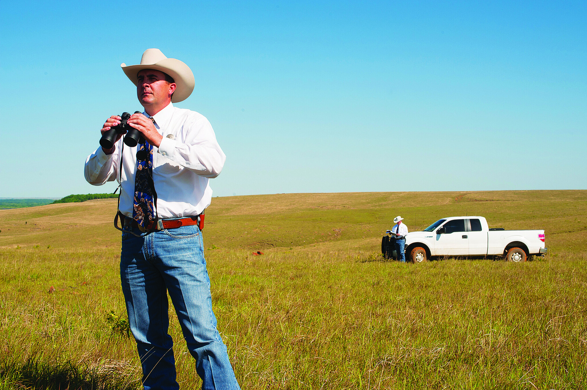 cattle-rustlers-right-here-in-new-york