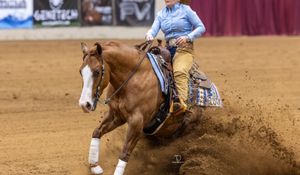 481355470 1047340880760866 8876815153815858725 n