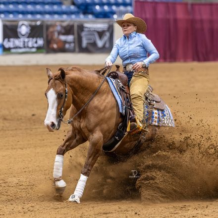 481355470 1047340880760866 8876815153815858725 n