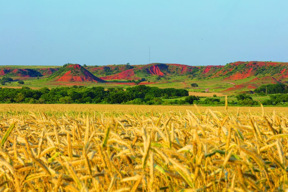 Though they stretch into Texas, the majority of the Black Kettle National Grassland’s 31,300 acres are located near Cheyenne and include the Washita Battlefield National Historic Site. Photo by Brent Fuchs