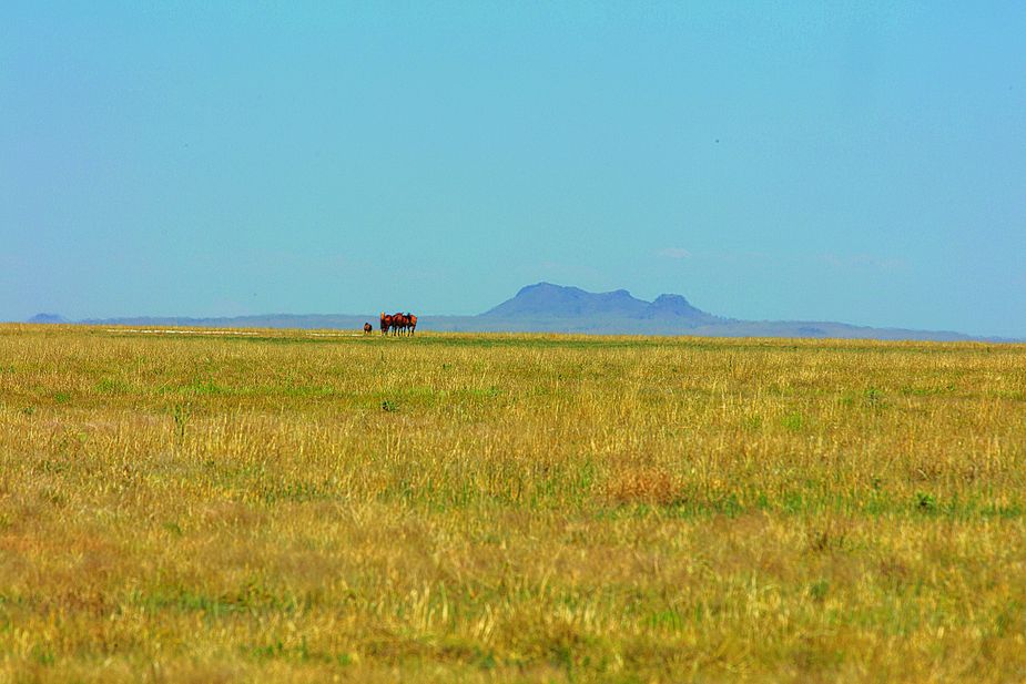 Located near the town of Felt, the Rita Blanca National Grassland spans 93,000 acres of the Texas and Oklahoma Panhandles. Photo by Brent Fuchs