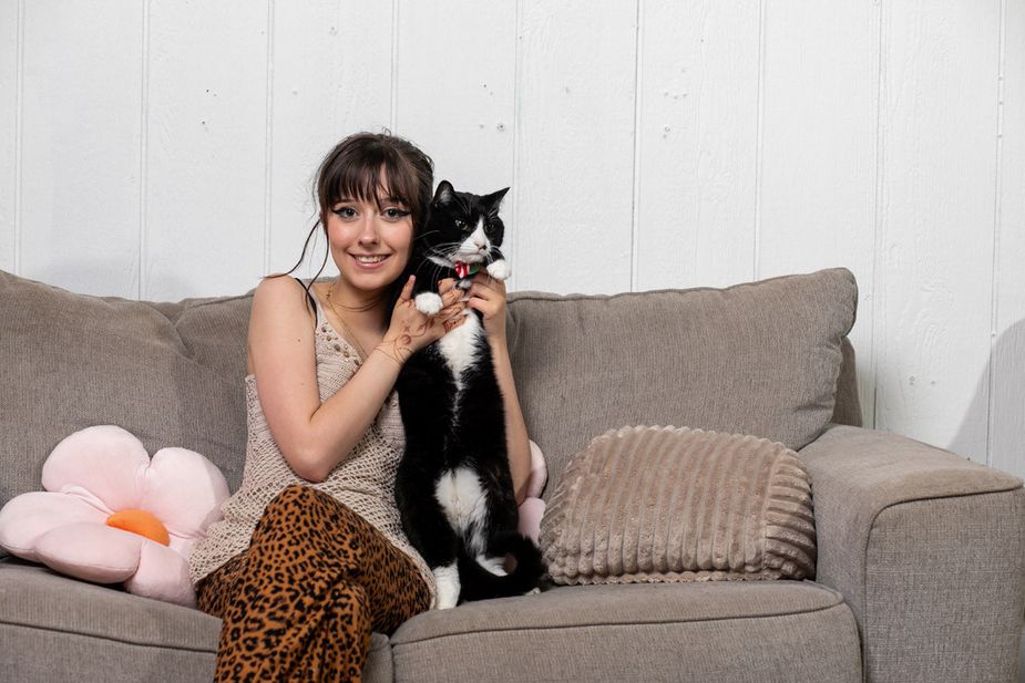 Three of the Meow & Mocha cats belong to owner Nicala Teague, including Mr. Oscar. Photo by Brent Fuchs