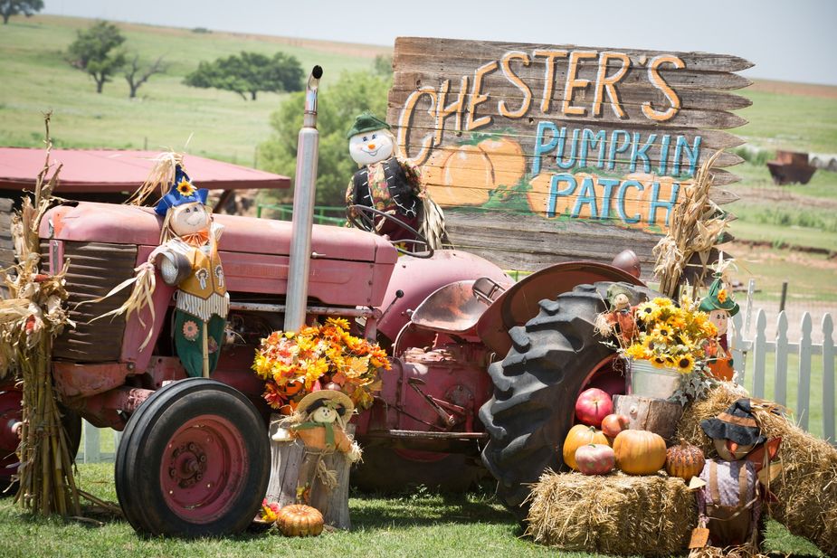 The fall season is officially here. Revel in its neutral-toned glory with a visit to Chester's Pumpkin Patch in Piedmont, now open. Photo courtesy Chester's Pumpkin Patch