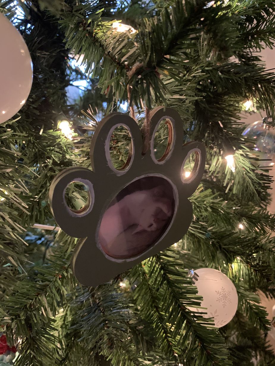 One of Abigail's homemade ornaments.