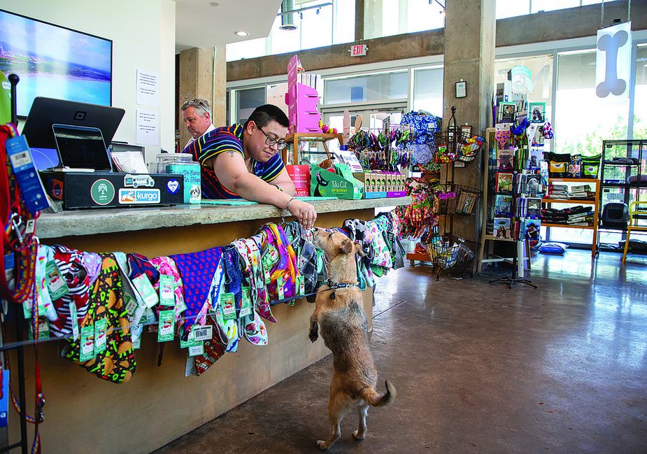 Forgot Busy Bee at home? Attached to Oklahoma City's Aloft is Bone Dog Boutique and Self-Serve Dog Wash with plenty of treats and toys. Photo by Lori Duckworth