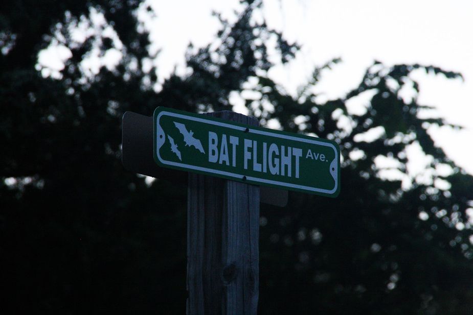 The Selman Bat Watch takes place on privately owned land not far from Freedom.