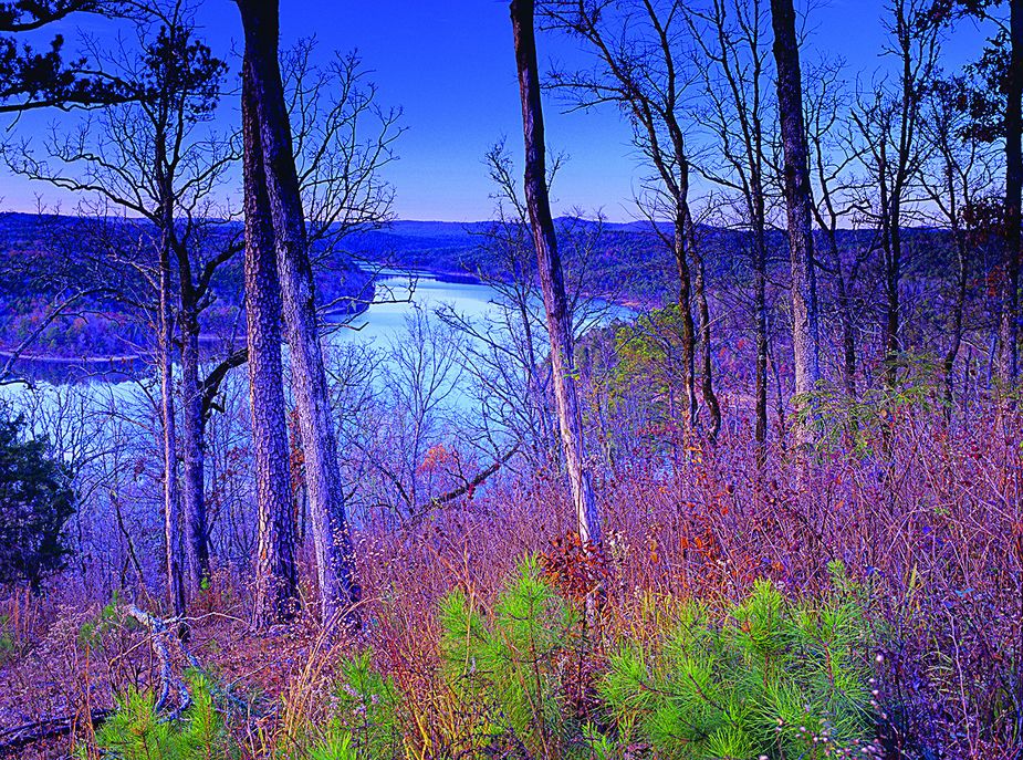 Broken Bow Wildlife Management Area in McCurtain County Photo by Kim Baker