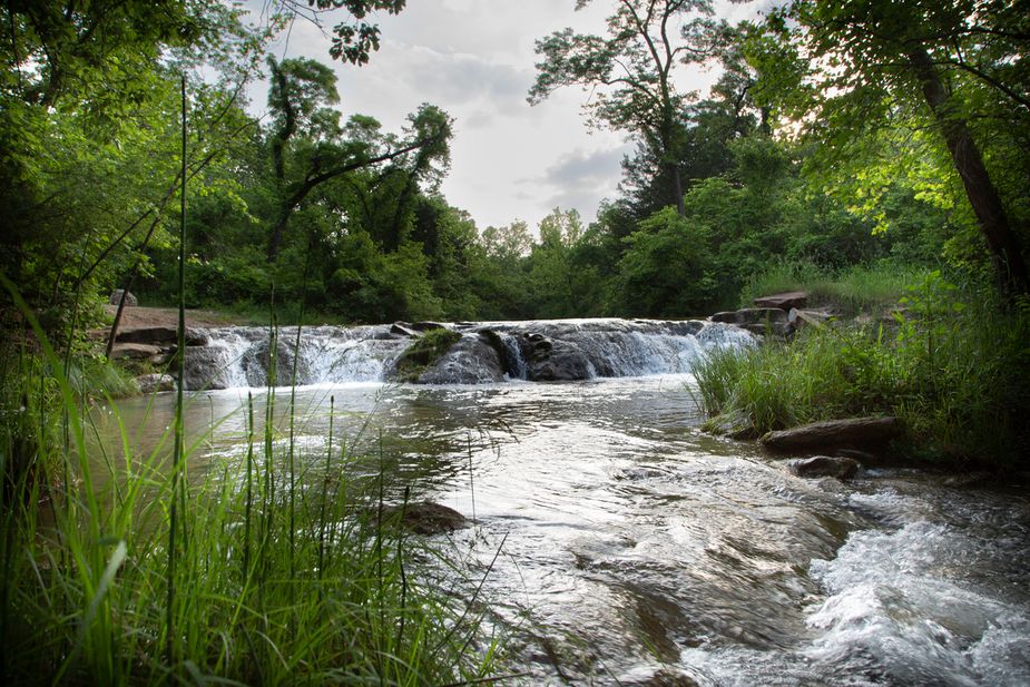 The beautiful Chickasaw National Recreation Area in Sulphur will serve as the perfect backdrop to this Saturday's Bison Run 5K. Photo by Megan Rossman