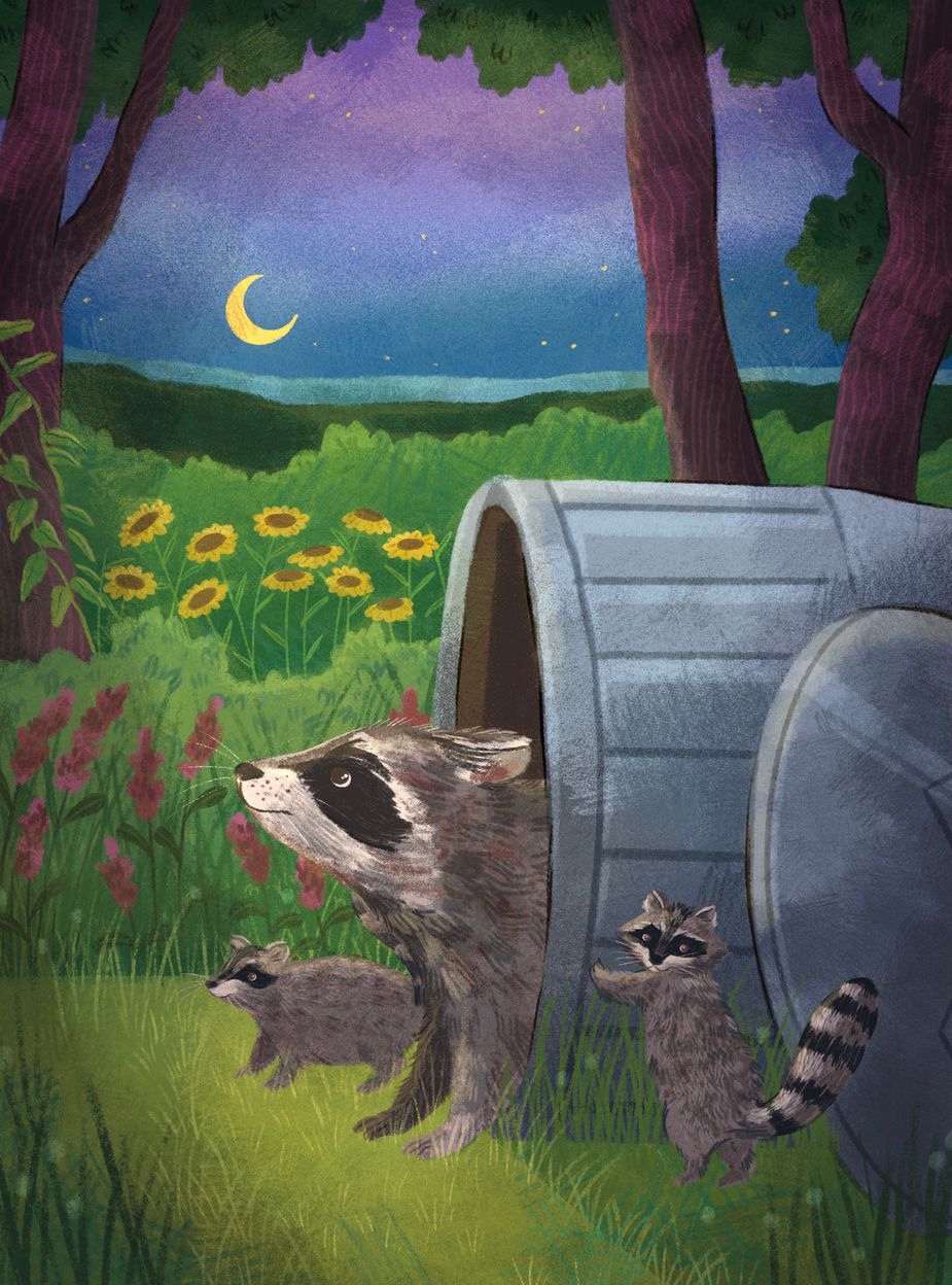 Oklahoma Today's September-October cover illustration by Madelyn Goodnight