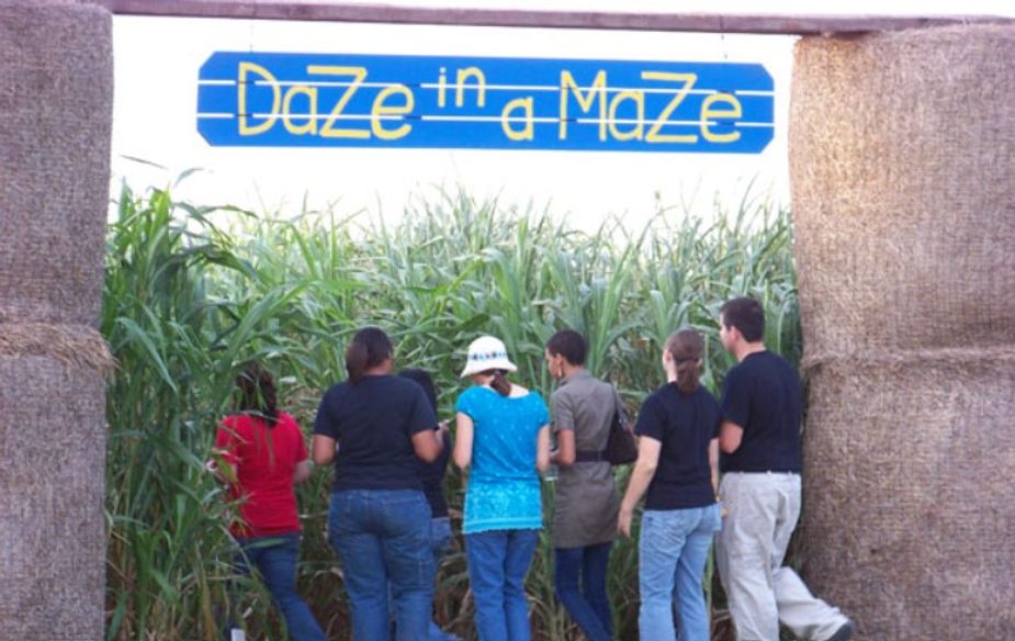 Lose yourself in the twists and turns of Marshall's Daze in a Maze alone or with friends. Photo courtesy Daze in a Maze
