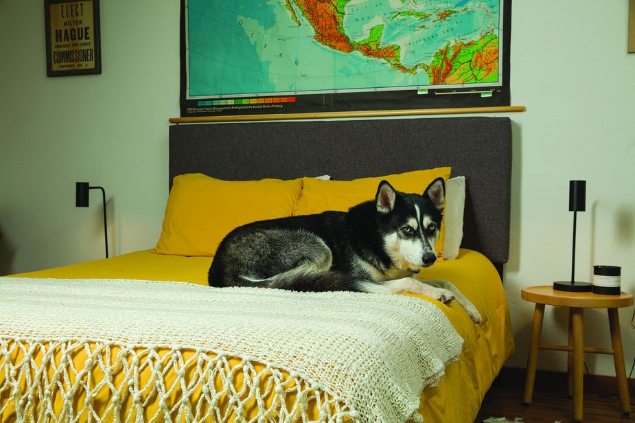 Ziggy Stardog models a bed at The Inn at Strayhouse. Photo by Brent Fuchs