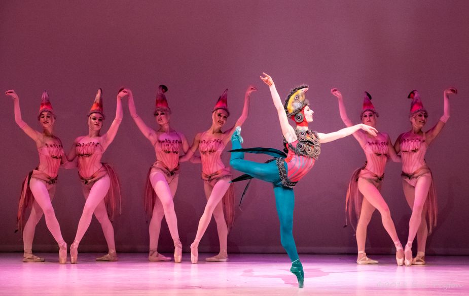 Ballet aficionados will love the flamingo segment in particular. It's influenced by Swan Lake, which makes it beautiful and incredibly difficult to execute. Photo by Eric Peyton