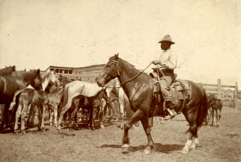 “Hector Bazy,” Courtesy Anacostia Community Museum, Smithsonian Institution