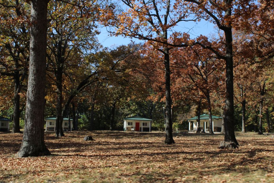 There are some cabins for rent at Sequoyah Bay State Park as well as primitive campsites and semi-modern ones with electric and water hookups. Photo by Kiersten Stone