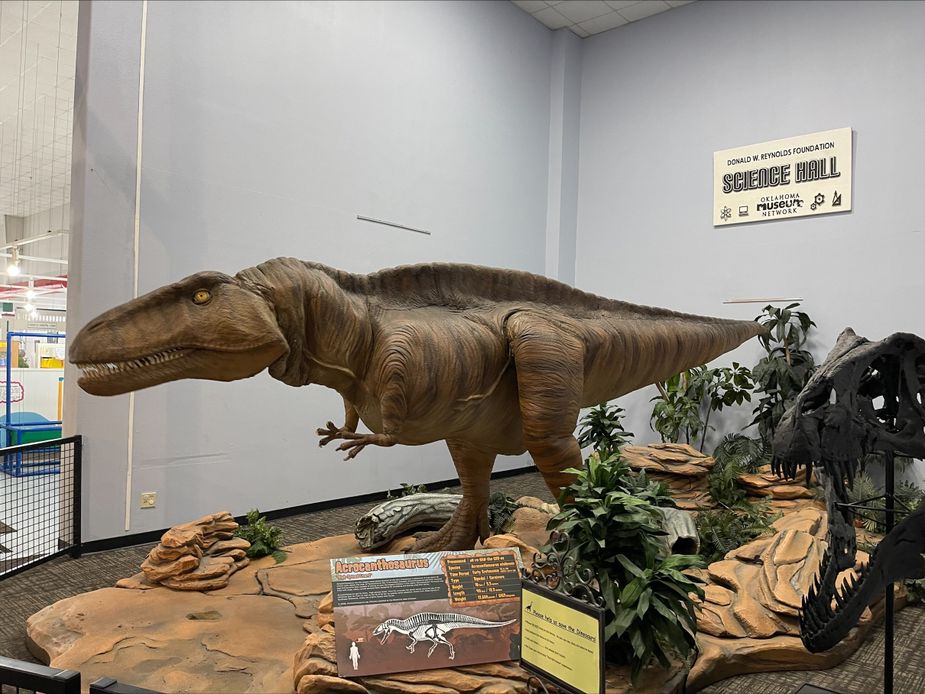 A moving model of acrocanthosaurus is part of a traveling exhibit. Photo by Nathan Gunter