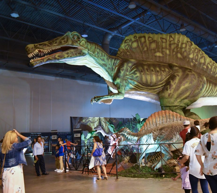 Take a trip to the ancient past when Jurassic Quest comes to Enid. Photo by Jason Breshears