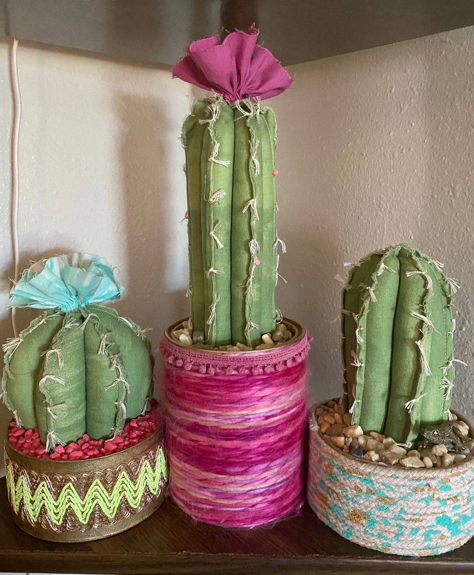 Three cacti