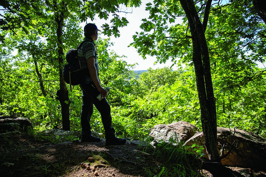 When Keystone Ancient Forest began opening to the public Thursday through Sunday, hundreds of people showed up to hike these picturesque trails. Photo by Lori Duckworth