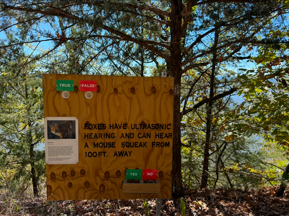 Challenge your brain along with the rest of your body on the trails at Lake Wister State Park. Photo by Kiersten Stone