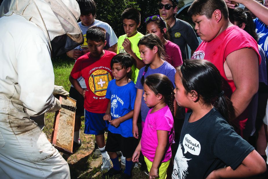 Children in the Yuchi after-school and summer language programs often take field trips. In 2016, they visited a local beekeeper.