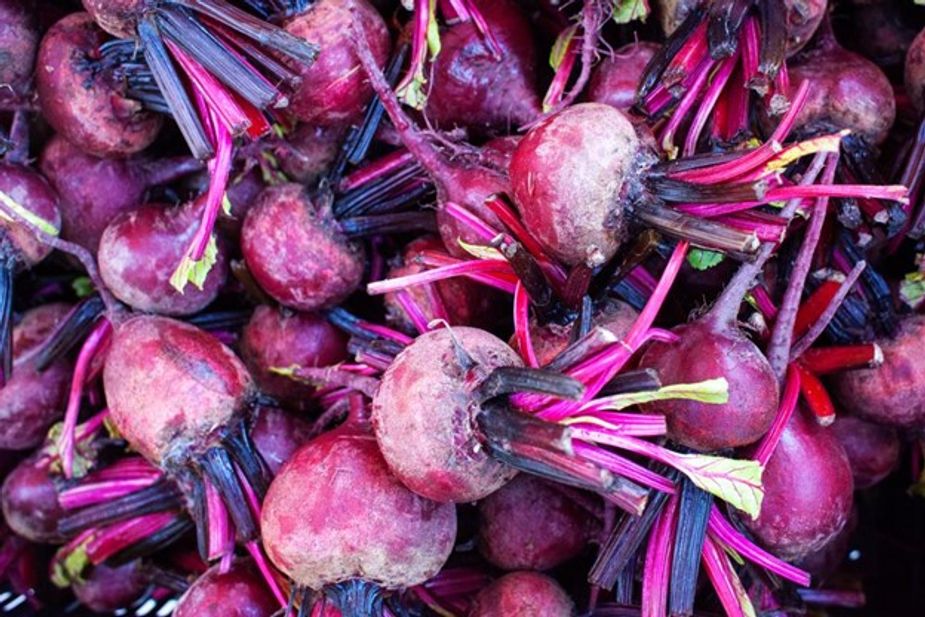 Beets are a nutritious early spring crop. Photo by Lori Duckworth