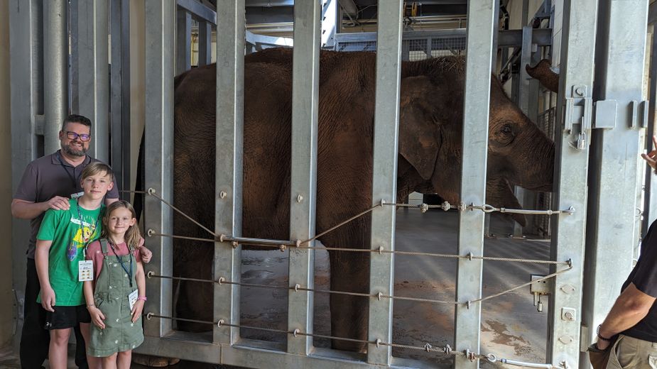 During the Asian Elephant Wild Encounter at the Oklahoma City Zoo, the Elwell family gets to meet Asha. Photo by Candice Rennels