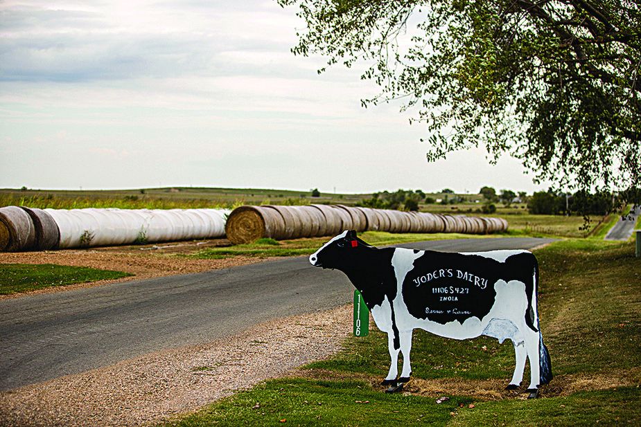 Yoder's Dairy near Chouteau. Photo by Shane Bevel