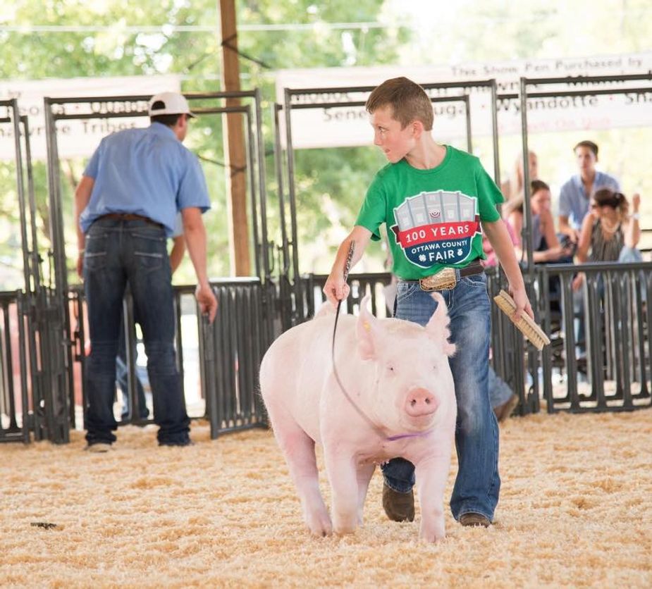 Livestock shows are just the tip of the fun iceberg at the Ottawa County Free Fair in Miami this week. Photo courtesy Ottawa County Free Fair