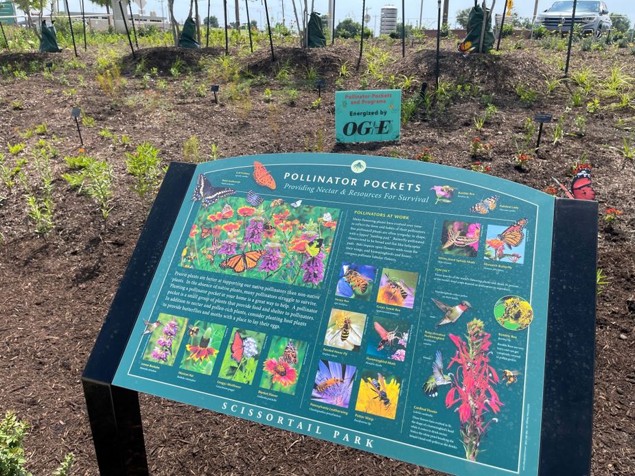 Pollinator Pockets at Scissortail Park in Oklahoma City. Photo courtesy Scissortail Park