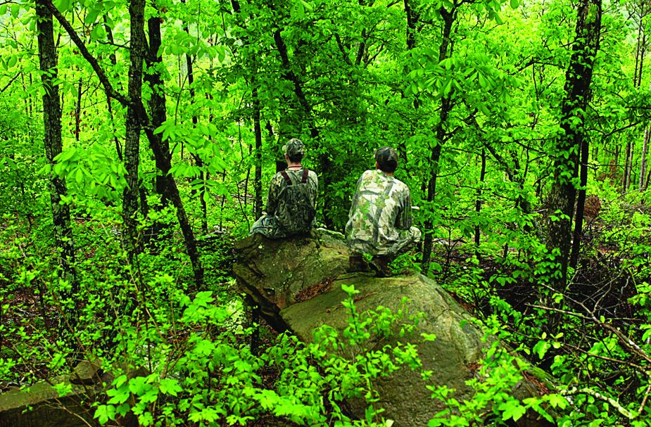 Pushmataha Wildlife Management Area near Clayton Photo by James Pratt