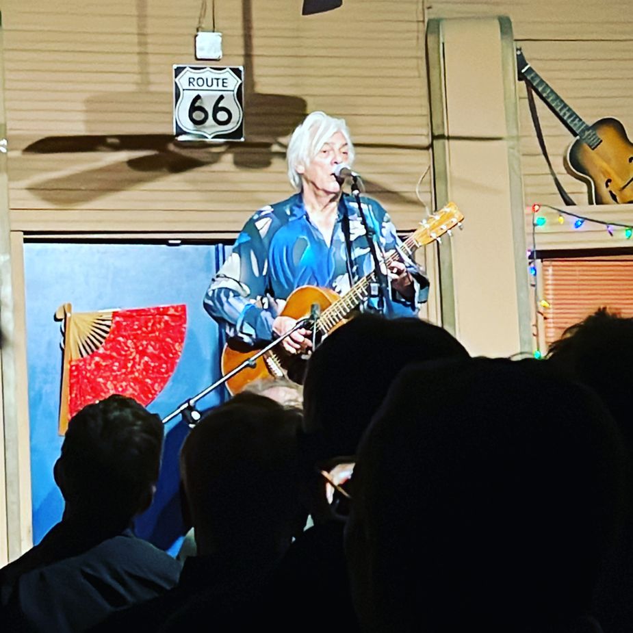 Robyn Hitchcock