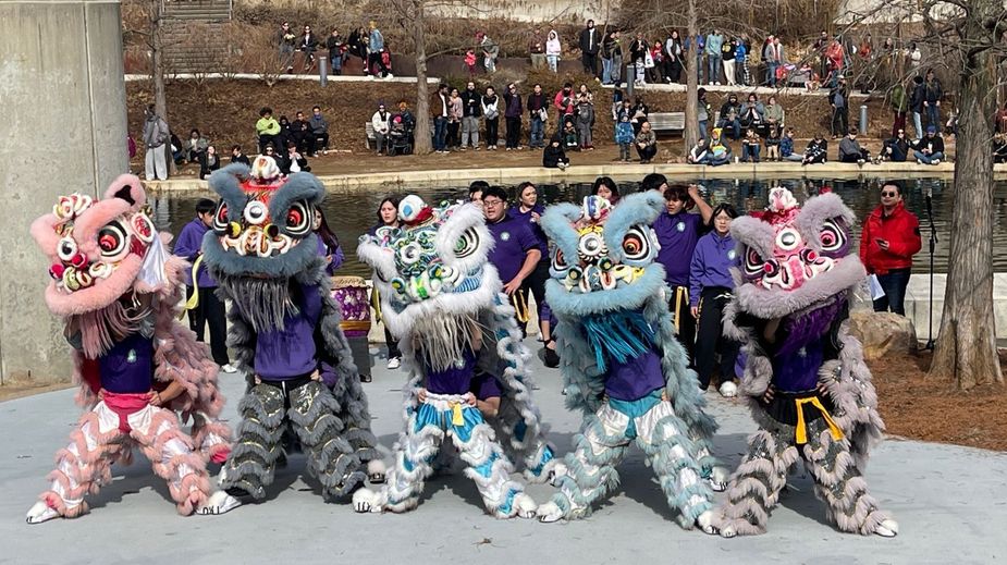 Lion dancers usher in the Year of the Horse during the annual Lunar New Year Celebration this Saturday at Oklahoma City's Myriad Botanical Gardens