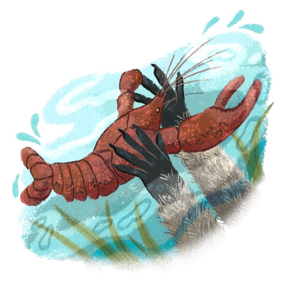 Illustration by Madelyn Goodnight