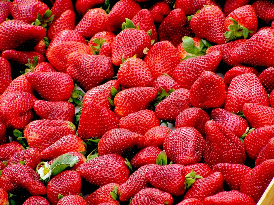 Enjoy the Strawberry Capital of the World with some sweet eats at the Stilwell Strawberry Festival. Photo by Roberto Barresi