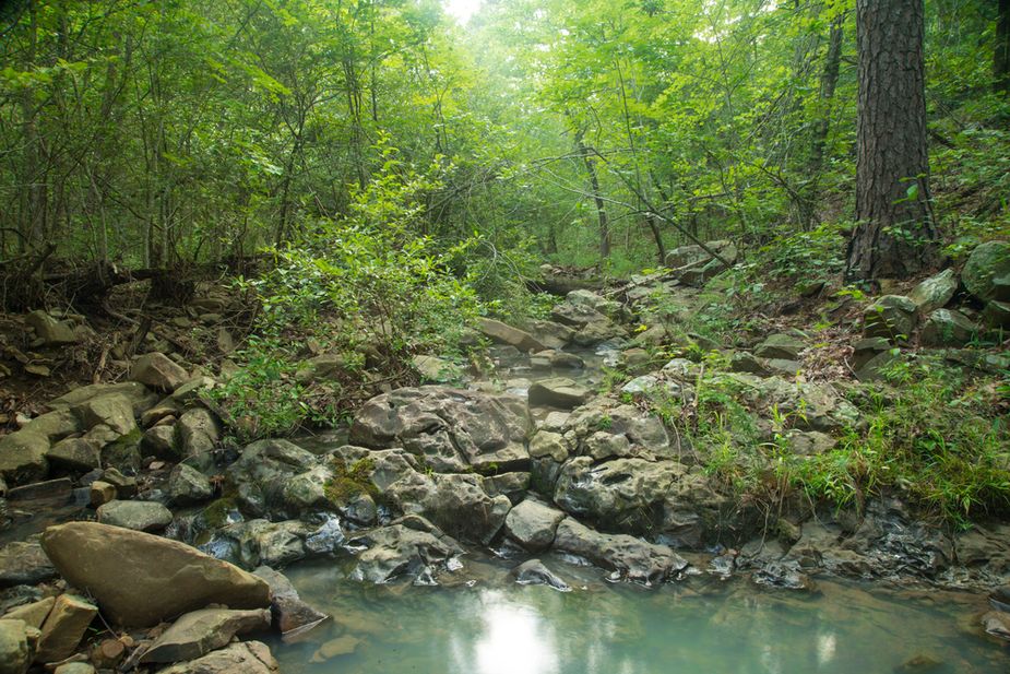 Talimena State Park. Photo by Kim Baker