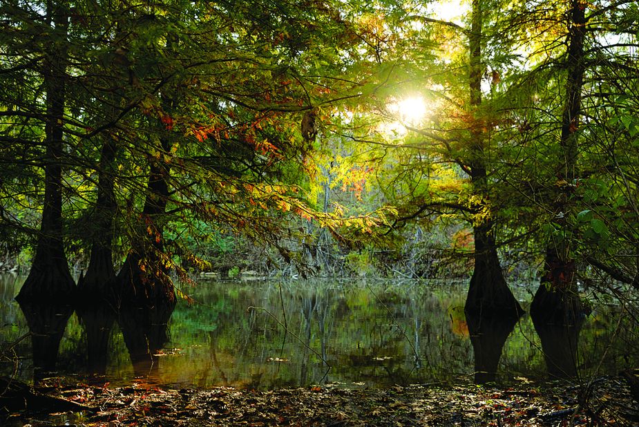 Lake Murray State Park (Photo by Susan Dragoo)