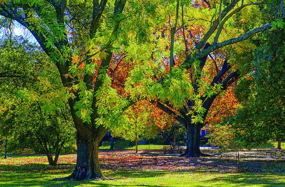 Woodward Park in Tulsa (Photo by Stan Schwartz)