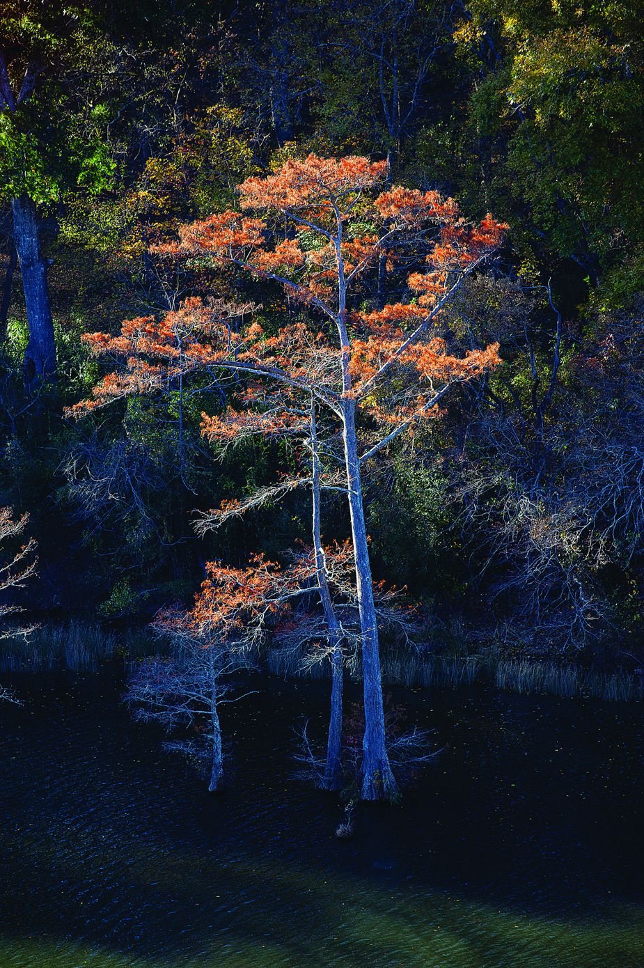 Beavers Bend State Park (Photo by John Jernigan)