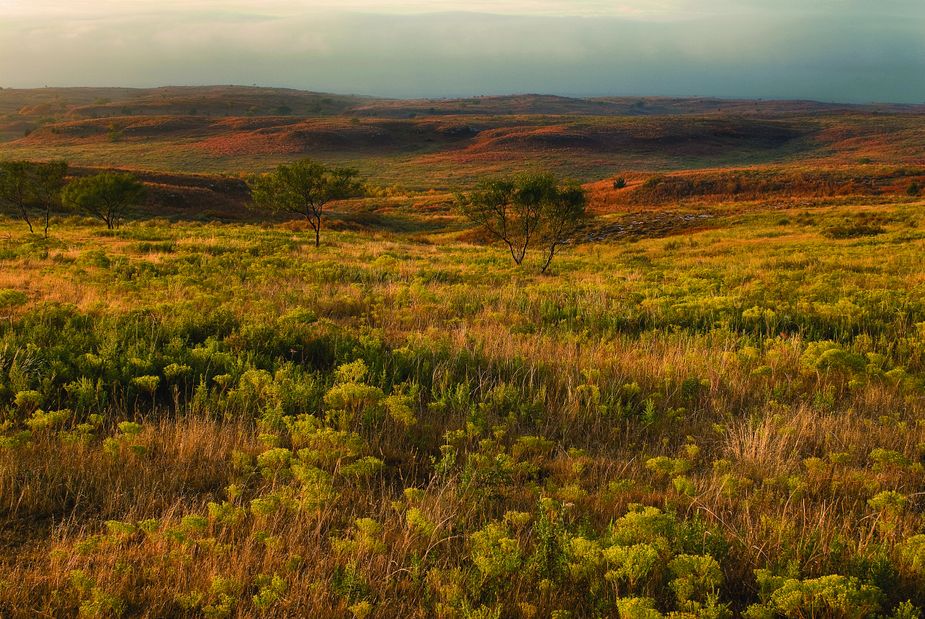 A field north of Cheyenne (Photo by John Jernigan)