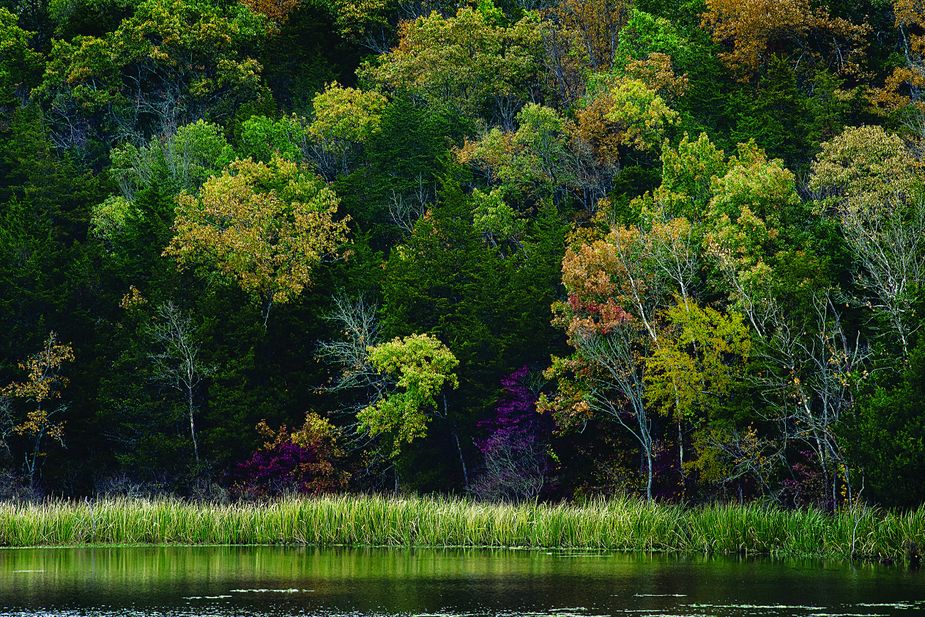 Raymond Gary State Park (Photo by John Jernigan)