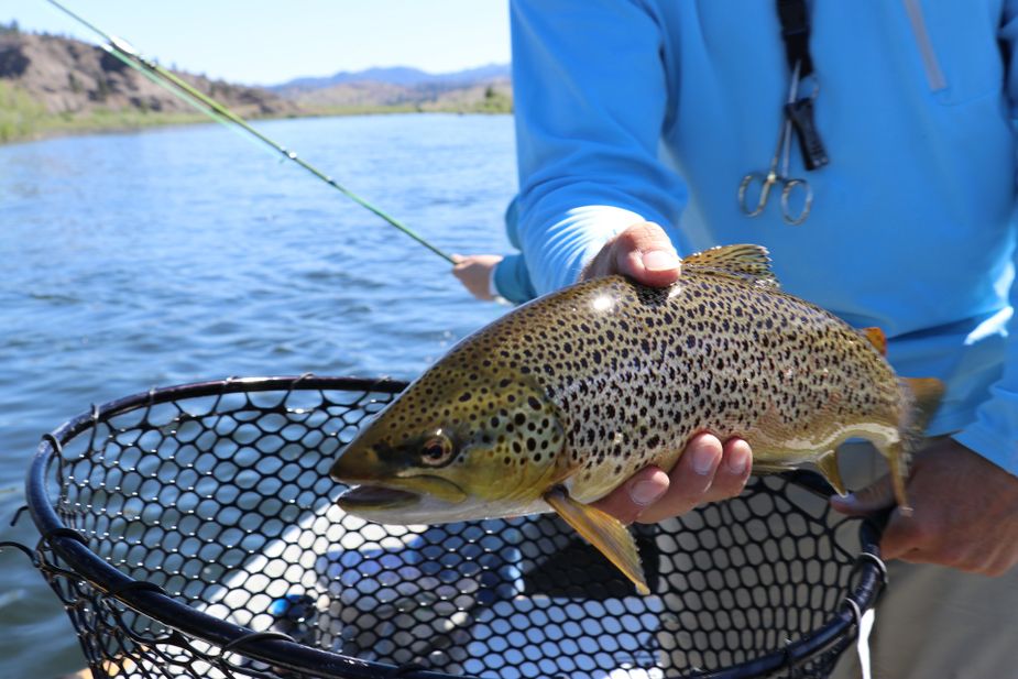 Anglers young and old will be pulling dinner out of the water at the Watonga Trout Derby this week. Photo by James Wills