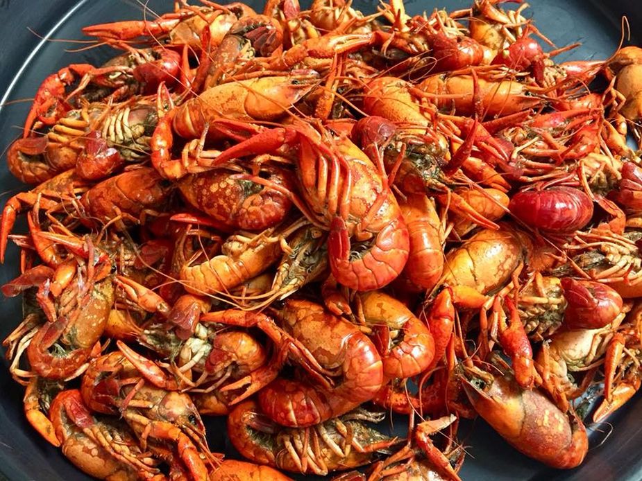 Come hungry to the Okie Gras celebration in Broken Bow, a party where revelers can enjoy a crawfish boil, Cajun delicacies, and good-natured community fun. Photo courtesy Pixabay