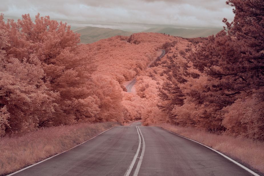 Talimena National Scenic Byway in LeFlore County