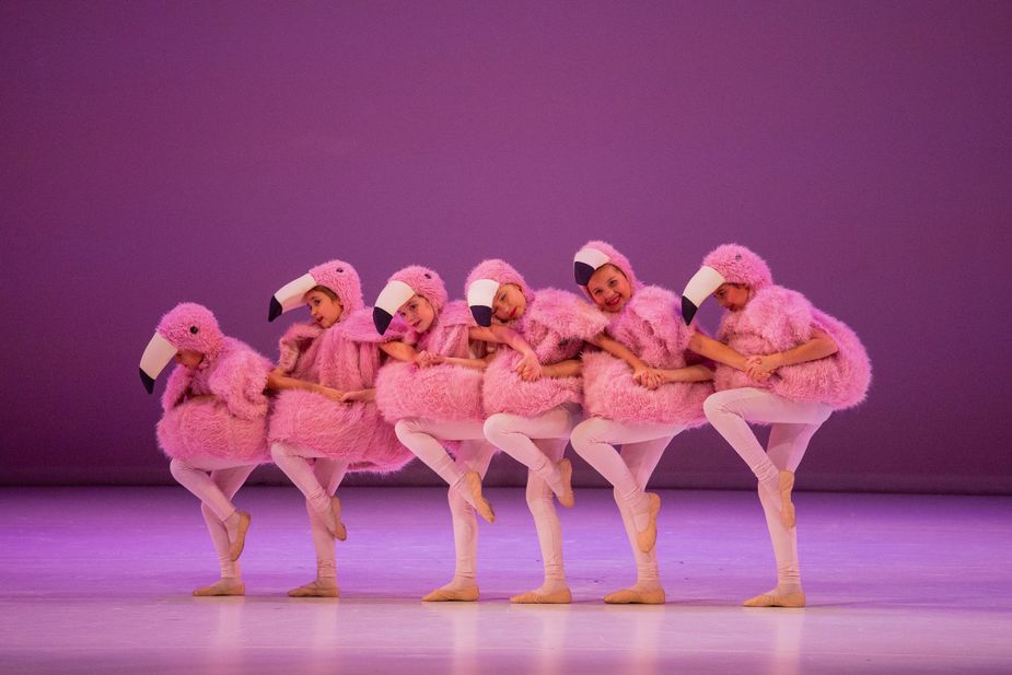 A flock of young flamingoes files across the Civic Center stage. Photo by Jana Carson