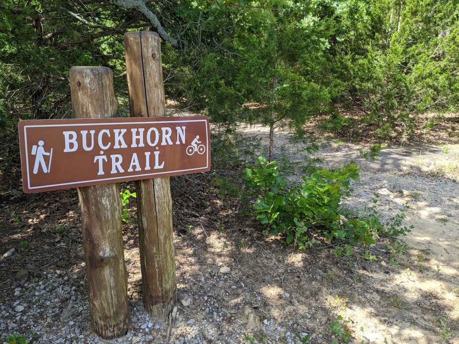 Buckhorn Trail at Lake Murray State Park is a great trail for beginners. Be sure to apply bug spray. Photo by Greg Elwell.