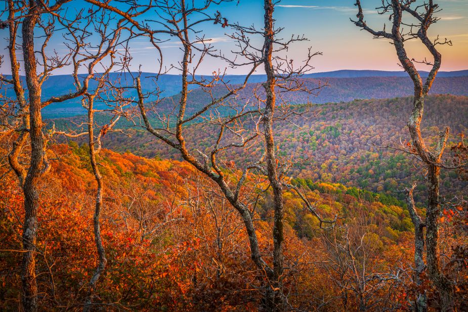 A visit to the Talihina Fall Foliage Festival is a good excuse to take in some spectacular views, like this shot of the Winding Stair area of the Ouachita National Forest. Photo courtesy Inge Johnson