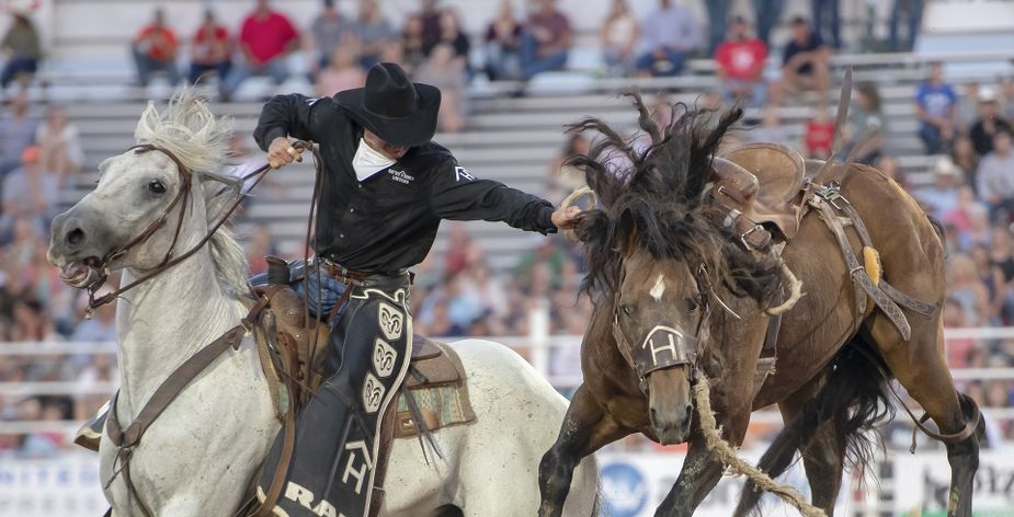 You get the whole saddle, but you'll only need the edge at the International Finals Youth Rodeo in Shawnee.