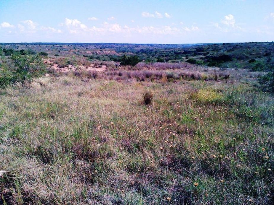 Get your eyeballs on the Sandy Sanders Wildlife Management Area in Erick while taking part in Erick's Do-Wacka-Do Trail Run & Gravel Ride. Photo courtesy Do-Wacka-Do Trail Run & Gravel Ride