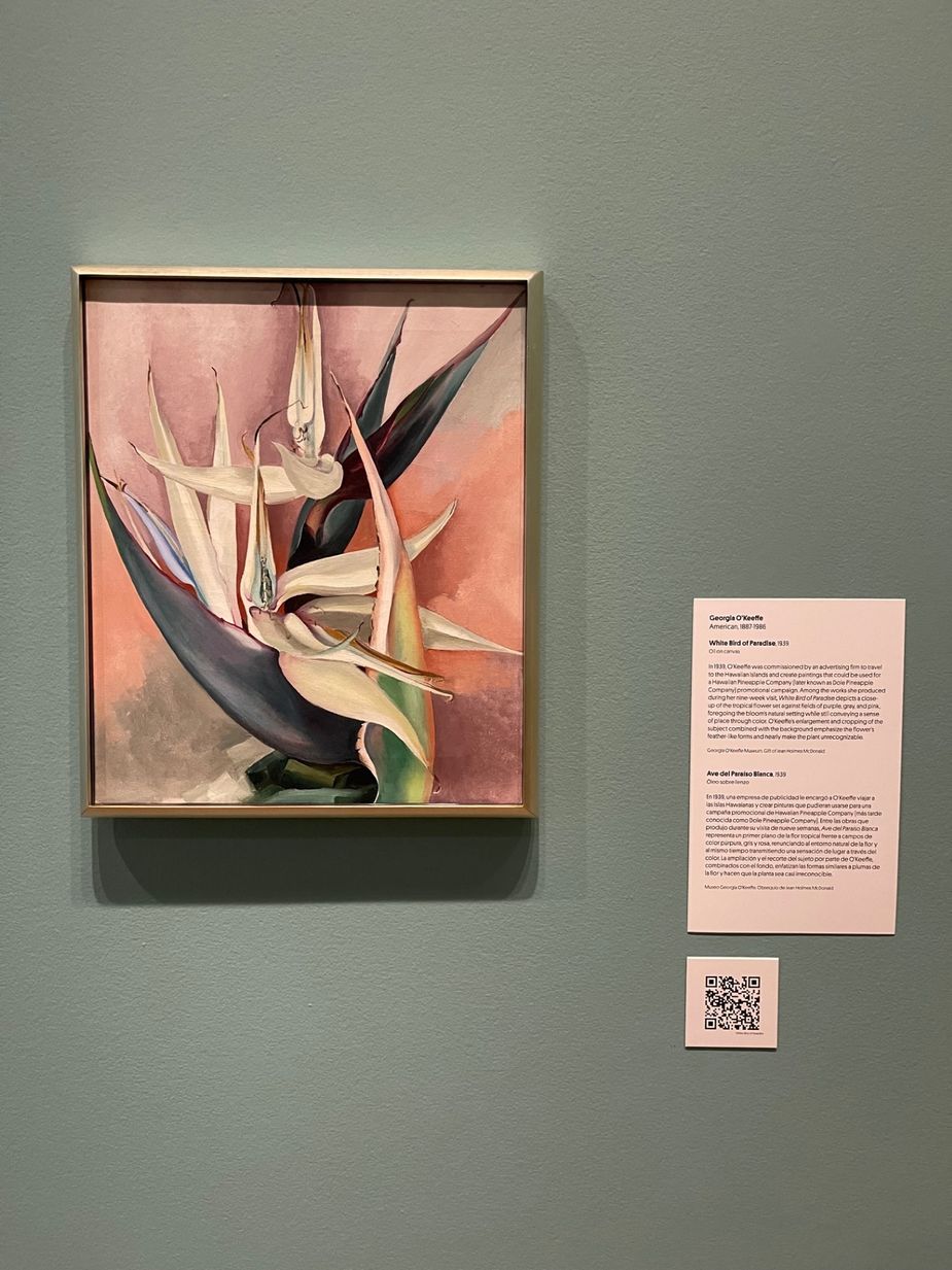 The 1939 oil painting White Bird of Paradise, by Georgia O'Keeffe, on display in the exhibit Magnificent Beauty: Georgia O'Keefe and the Art of the Flower. Photo by Kiersten Stone