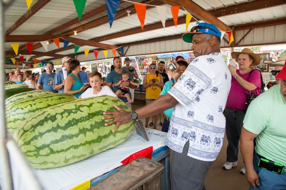 Some truly impressive melons will be admired—and devoured—at this weekend's annual Rush Springs Watermelon Festival and Rodeo. Photo courtesy Lori Duckworth / Oklahoma Tourism